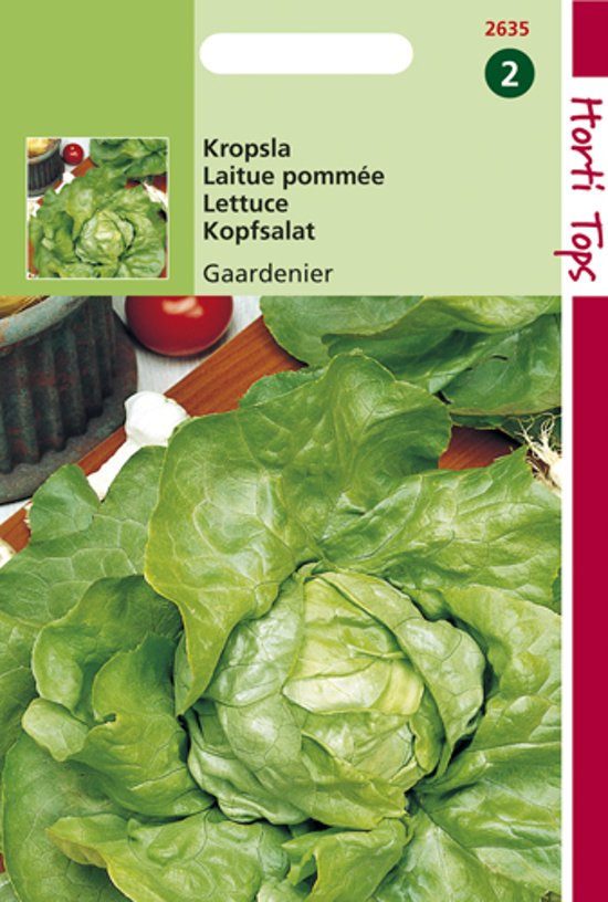 Lettuce Gardener (Lactuca sativa) 3000 seeds